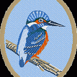 Kingfisher Simulation